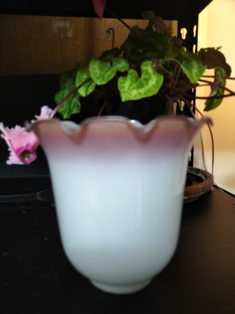 White and Pink replacement shade WP2