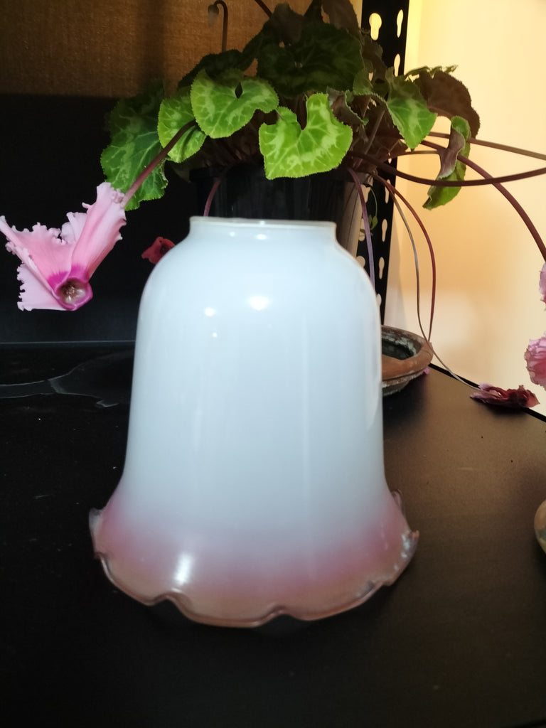 White and Pink replacement shade WP2