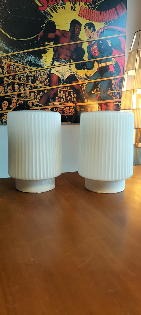 Pair of Retro White Shades