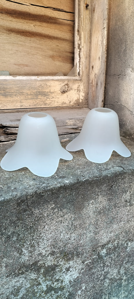 Frosted Petal Shade      FPS