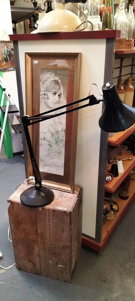 Superlux  Lamp Black  AP99