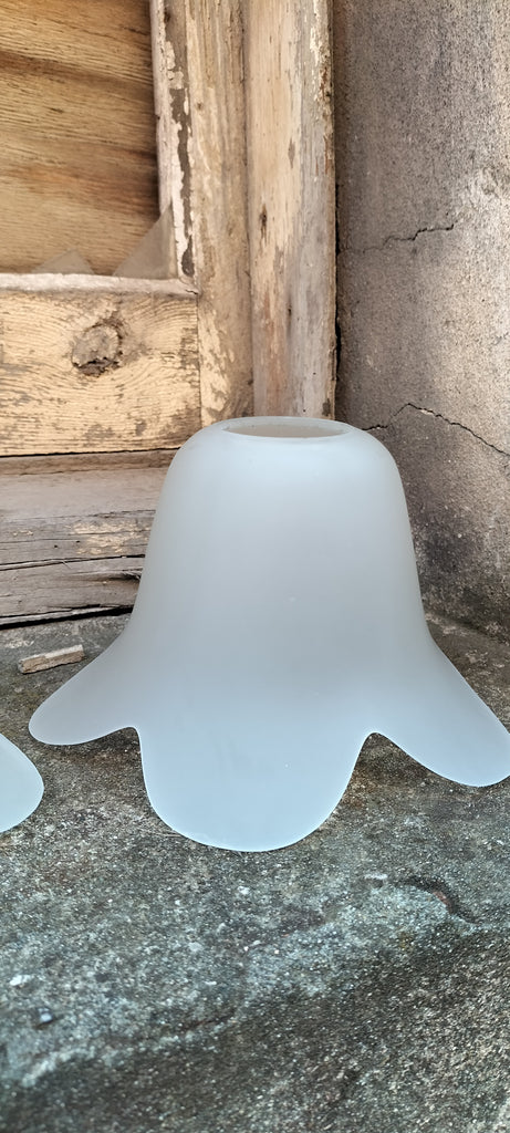 Frosted Petal Shade      FPS