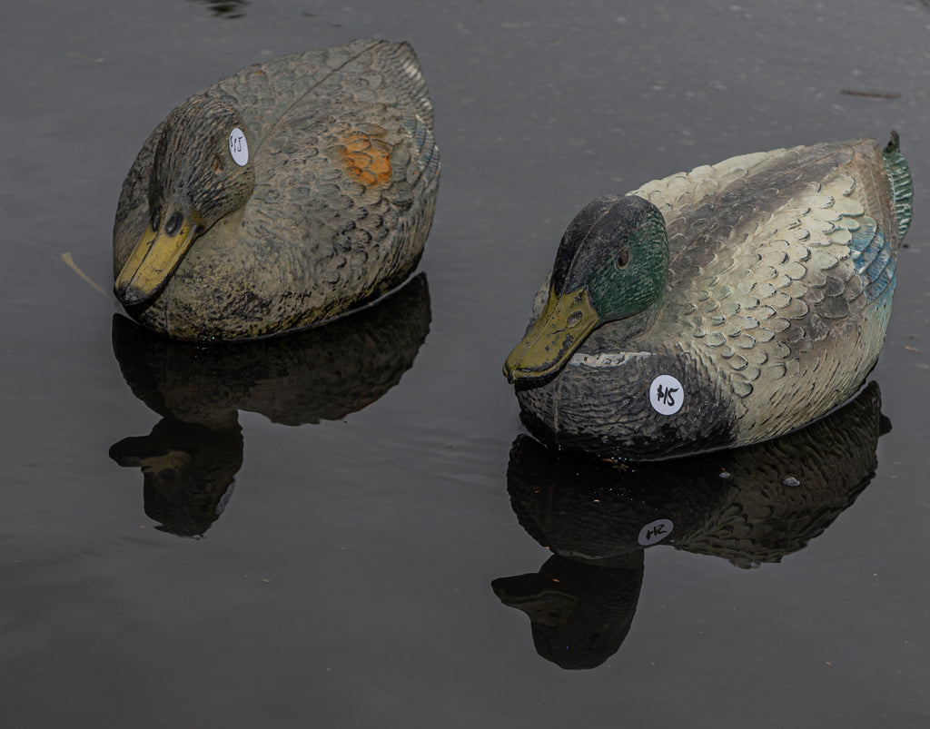 Duck Hunting Decoys