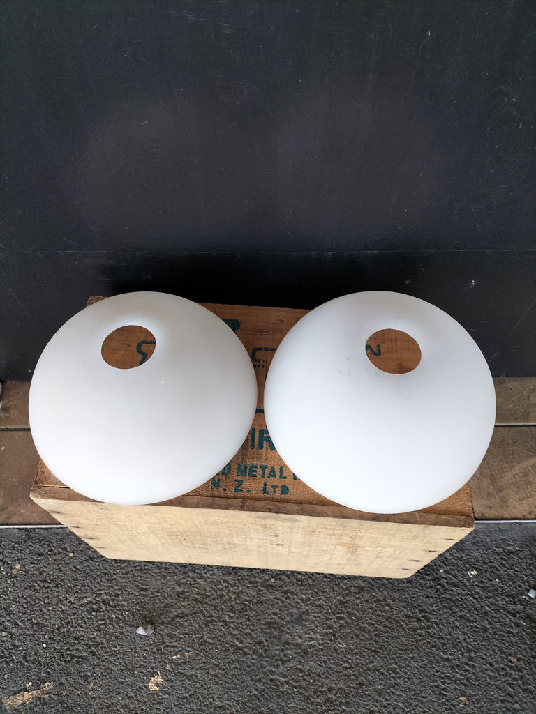 Replacement Shades  Frosted     sfd