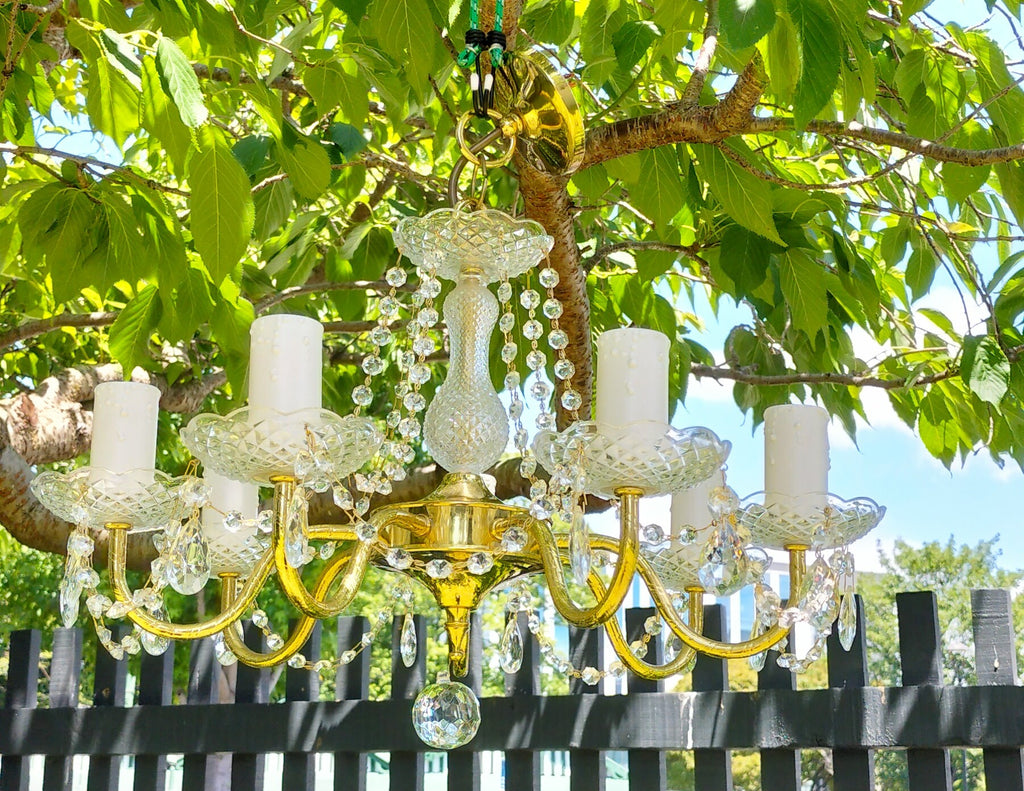 7 Arm Crystal Chandelier.     cc7